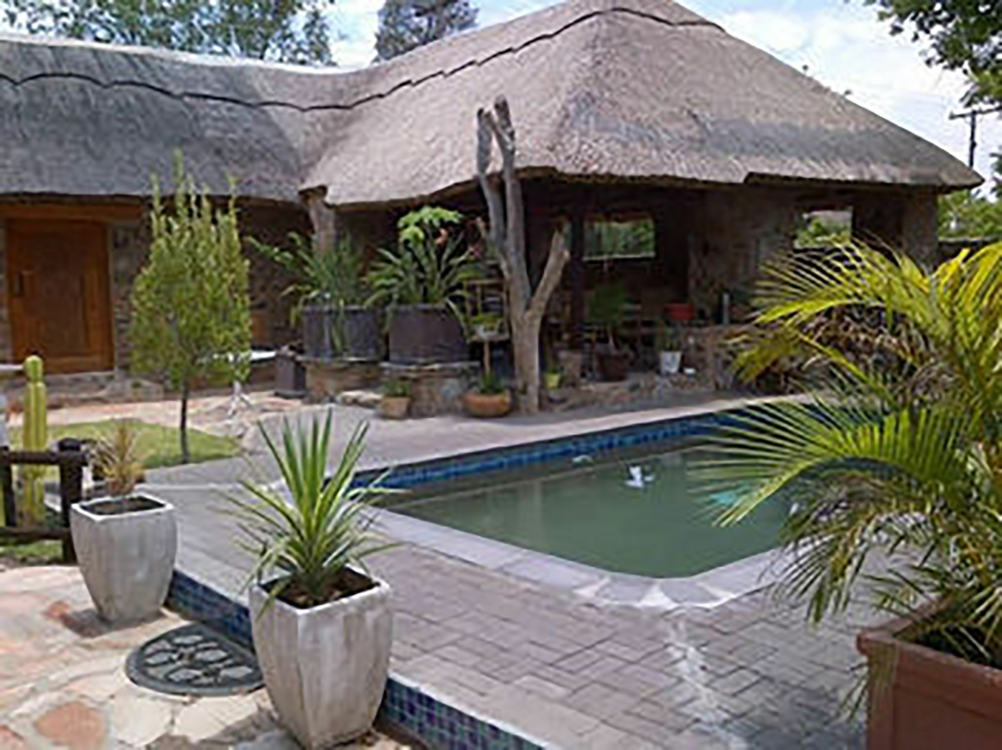 A New Earth Guest Lodge Francistown Eksteriør billede